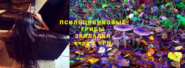 гашик Магас