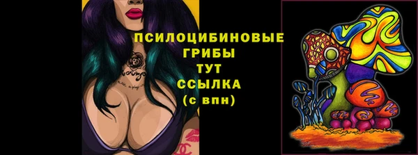 ПСИЛОЦИБИНОВЫЕ ГРИБЫ Магадан
