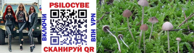 Купить закладки  Арамиль  Галлюциногенные грибы MAGIC MUSHROOMS 